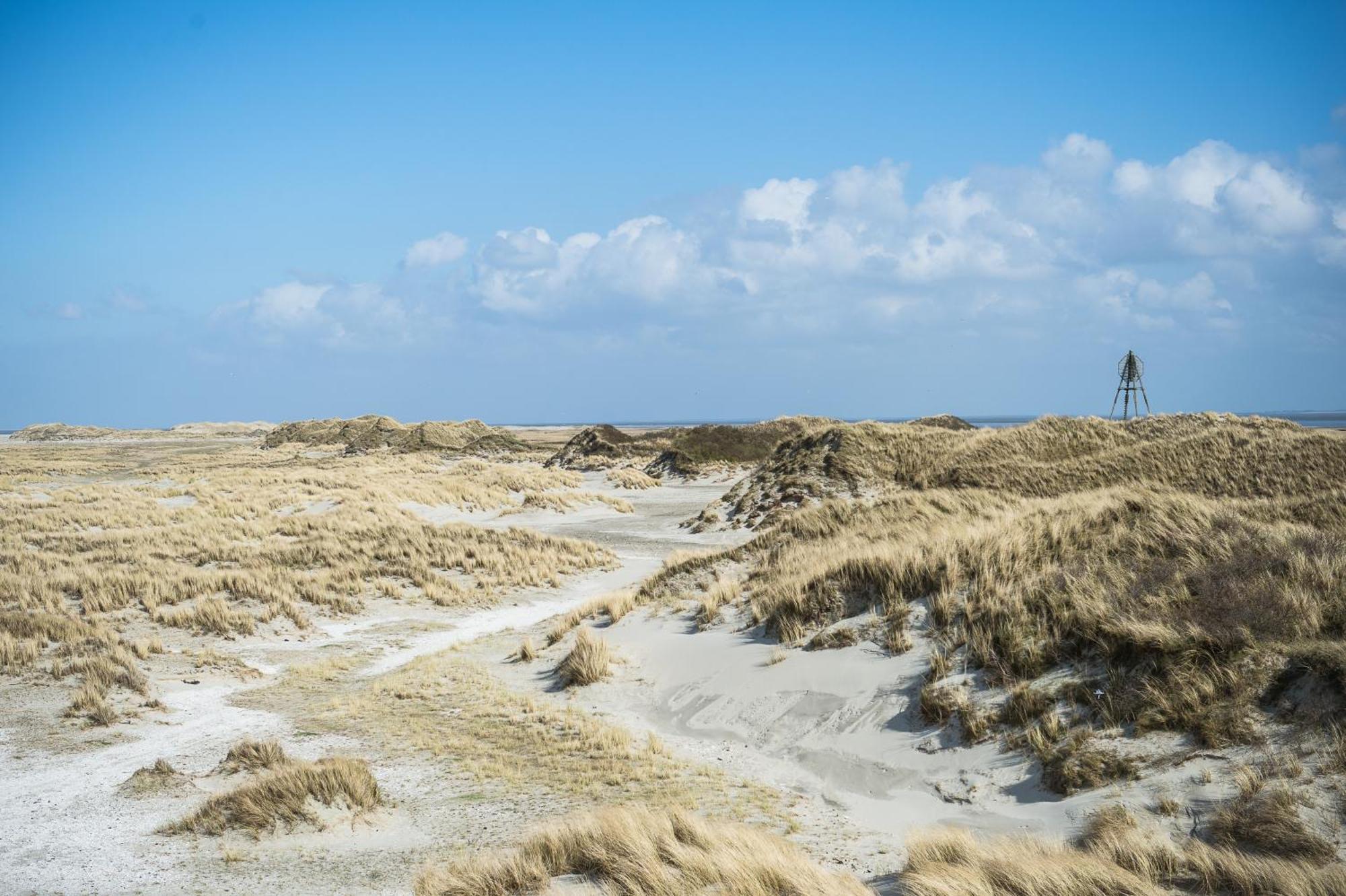 Vakantiepark Klein Vaarwater Buren  Kültér fotó